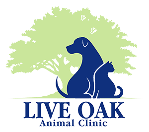Live Oak Animal Clinic